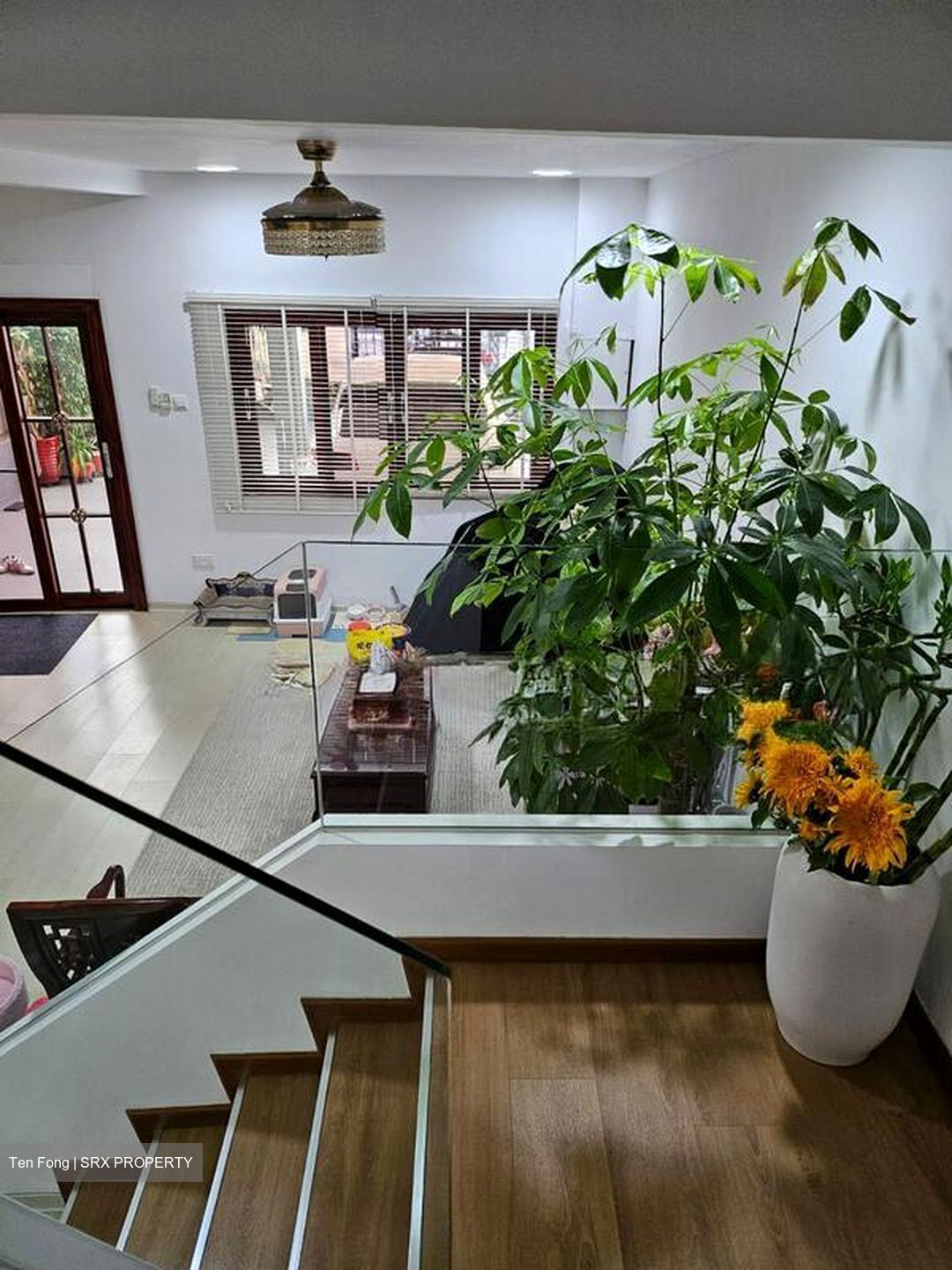 Joo Chiat Road (D15), Terrace #559849451